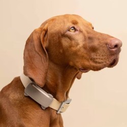 Tractive TRDOG6BR GPS Pet Tracker Σκύλου Brown (Τεμάχιο)