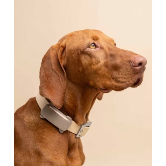 Tractive TRDOG6BR GPS Pet Tracker Σκύλου Brown (Τεμάχιο) Tractive TRDOG6BR GPS Pet Tracker Σκύλου Brown (Τεμάχιο)