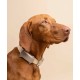 Tractive TRDOG6BR GPS Pet Tracker Σκύλου Brown (Τεμάχιο) Tractive TRDOG6BR GPS Pet Tracker Σκύλου Brown (Τεμάχιο)