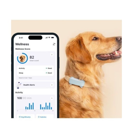 Tractive TRDOG6MT GPS Pet Tracker Σκύλου Mint (Τεμάχιο) Tractive TRDOG6MT GPS Pet Tracker Σκύλου Mint (Τεμάχιο)
