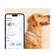 Tractive TRDOG6MT GPS Pet Tracker Σκύλου Mint (Τεμάχιο) Tractive TRDOG6MT GPS Pet Tracker Σκύλου Mint (Τεμάχιο)