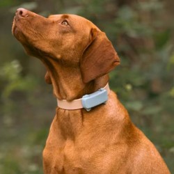 Tractive TRDOG6MT GPS Pet Tracker Σκύλου Mint (Τεμάχιο)