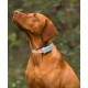 Tractive TRDOG6MT GPS Pet Tracker Σκύλου Mint (Τεμάχιο) Tractive TRDOG6MT GPS Pet Tracker Σκύλου Mint (Τεμάχιο)