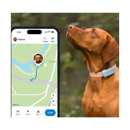 Tractive TRDOG6MT GPS Pet Tracker Σκύλου Mint (Τεμάχιο) Tractive TRDOG6MT GPS Pet Tracker Σκύλου Mint (Τεμάχιο)