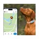 Tractive TRDOG6MT GPS Pet Tracker Σκύλου Mint (Τεμάχιο) Tractive TRDOG6MT GPS Pet Tracker Σκύλου Mint (Τεμάχιο)