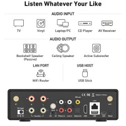 Arylic H50 Στερεοφωνικός Ψηφιακός Ενισχυτής 2 x 30W @8Ω
