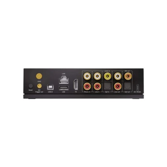 Arylic LP100 HiFi Music Streamer Black