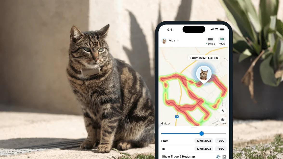 Tractive CAT mini GPS Pet Tracker Γάτας με Κολάρο Brown