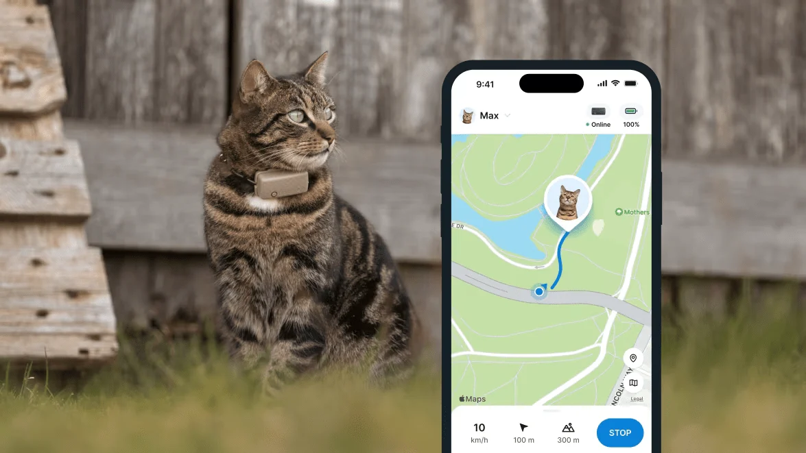 Tractive CAT mini GPS Pet Tracker Γάτας με Κολάρο Brown