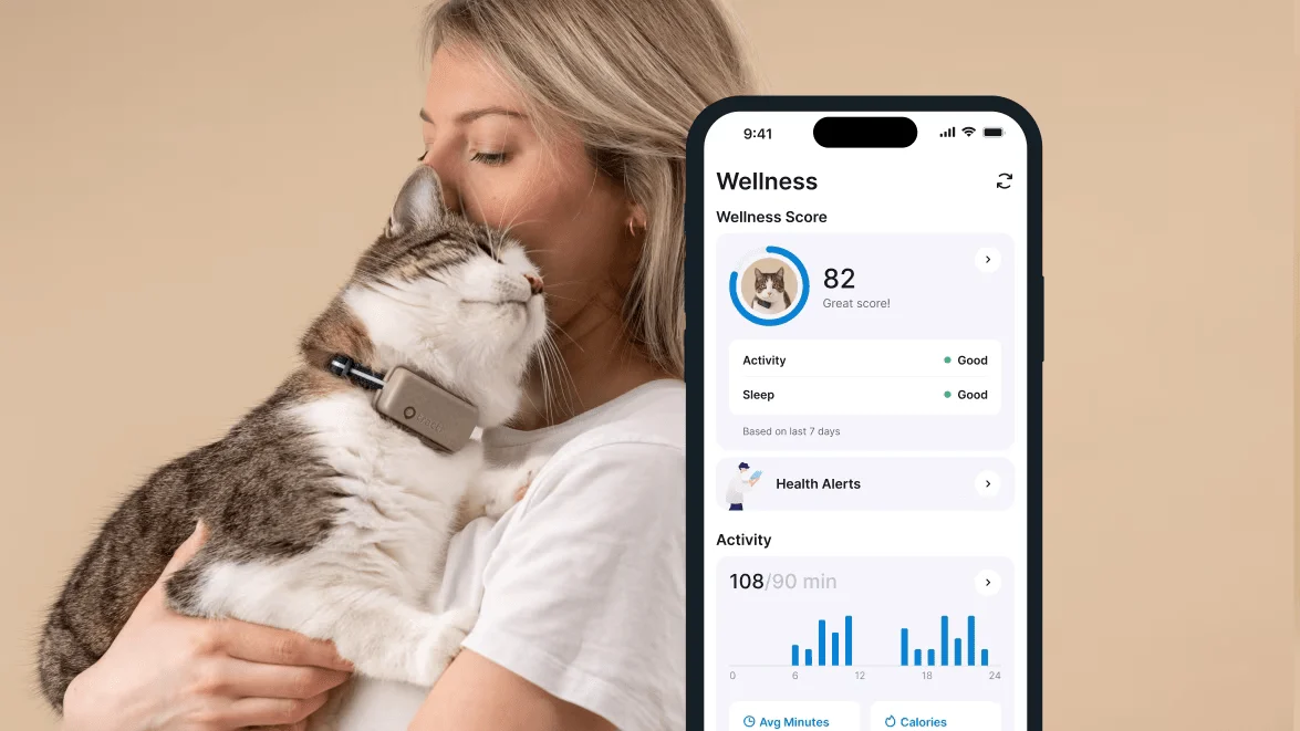 Tractive CAT mini GPS Pet Tracker Γάτας με Κολάρο Brown