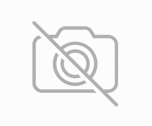 ΕΠΑΓΓΕΛΜΑΤΙΚΟΣ ΗΧΟΣ